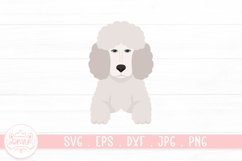 Poodles Clipart | Dog SVG Design Product Image 1
