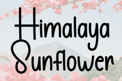 Popculine Product Image 2