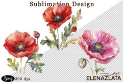 Poppy clipart, Watercolor floral clipart, Bouquets Product Image 1