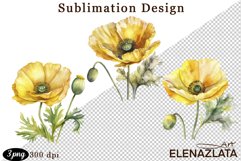 Poppy clipart, Watercolor floral clipart, Bouquets Product Image 1