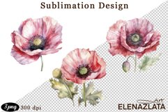 Poppy clipart, Watercolor floral clipart, Bouquets Product Image 1
