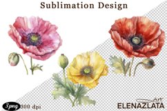 Poppy clipart, Watercolor floral clipart, Bouquets Product Image 1