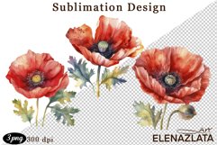 Poppy clipart, Watercolor floral clipart, Bouquets Product Image 1