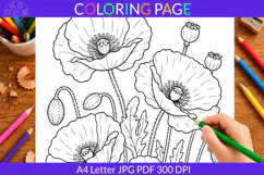 Poppy coloring page A4 Letter JPG PDF Product Image 2