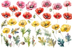 Poppy clipart, Watercolor floral clipart, Bouquets Product Image 2