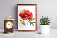 Poppy clipart, Watercolor floral clipart, Bouquets Product Image 5