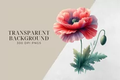 Birth Month Flowers Clipart, August Poppy PNG. Product Image 2