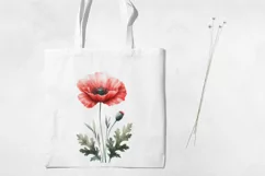 Birth Month Flowers Clipart, August Poppy PNG. Product Image 3