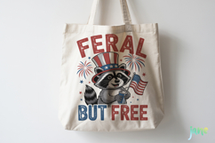 Popular 4th Of July Png Product Image 3