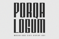 Porqa Logum Modern Sans Display Font Product Image 1