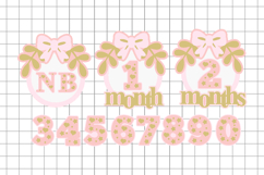 Baby Months pink topper 3D SVG Product Image 2