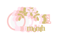 Baby Months pink topper 3D SVG Product Image 3