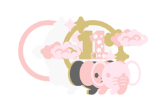 Baby Months elephant topper 3D SVG Product Image 2