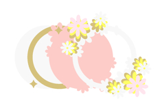 Baby Months Daisies topper 3D SVG Product Image 3