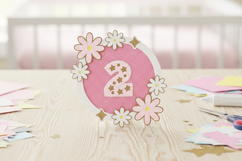 Baby Months Daisies topper 3D SVG Product Image 4