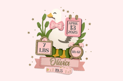 Goose Birth Stats announcement signs 3D SVG Product Image 4