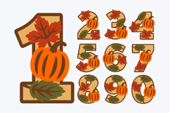 Pumpkin season 3D SVG Numbers | Pumpkin birthday SVG Product Image 2