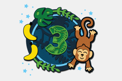 Shaker Cake Topper SVG Monkey Product Image 4