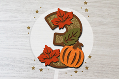 Pumpkin season 3D SVG Numbers | Pumpkin birthday SVG Product Image 4