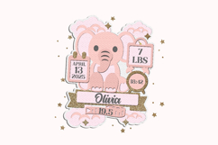 Birth Stats announcement signs 3D SVG Product Image 4