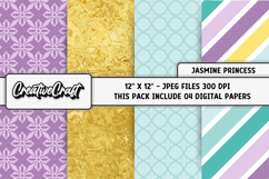 Jasmine Princess Digital Papers, scrapbooking backgrounds Product Image 1