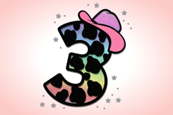 Cowgirl Numbers 3D SVG Product Image 4
