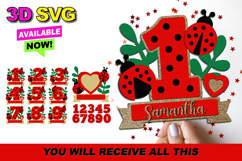 Ladybug numbers 3D SVG Product Image 1