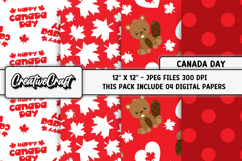 Canada Day Digital Papers, illustrations, background designs Product Image 1
