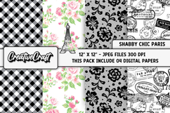 Shabby Chic Digital Papers, shabby chic background designs Product Image 1