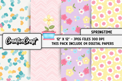 Springtime Digital Papers, spring backgrounds illustrations Product Image 1