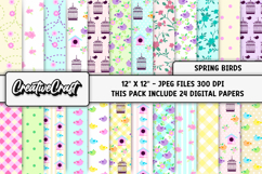 Spring Birds Digital Papers, scrapbook backgrounds design Product Image 1