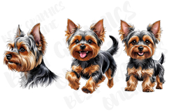 Yorkshire terrier dog clipart, Yorkie clipart illustration Product Image 2