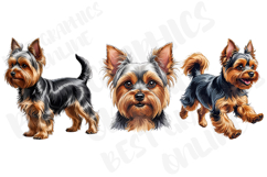 Yorkshire terrier dog clipart, Yorkie clipart illustration Product Image 3
