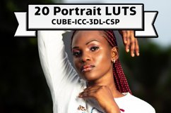 Portrait LUT collection photo filter color table Product Image 1