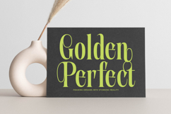 Portrait Midnight - Modern Serif Font Product Image 7