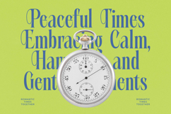 Portrait Midnight - Modern Serif Font Product Image 9