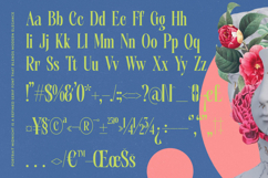 Portrait Midnight - Modern Serif Font Product Image 14