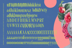 Portrait Midnight - Modern Serif Font Product Image 15