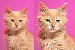 Portrait Vector Painting PS Actions Product Image 11