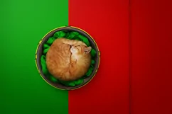 Backgrounds for Photography & Marketing. Portugal Product Image 9