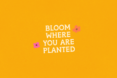 Positive Mindset - A Handmade Serif Font Product Image 23