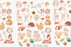 Autumn animals clipart, Fall clipart, instant download PNG Product Image 1