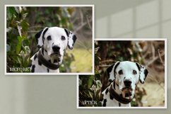 15 Furry Friends Photo Edit collection Product Image 6