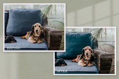 15 Furry Friends Photo Edit collection Product Image 9