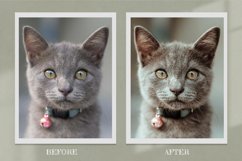 15 Furry Friends Photo Edit collection Product Image 5