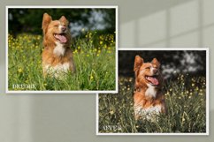 15 Furry Friends Photo Edit collection Product Image 10