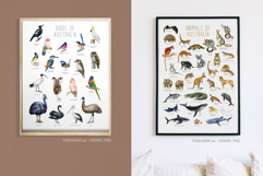 Australia Flora and Fauna Hand Drawn Illustration Set Product Image 22