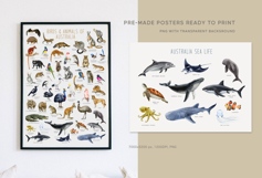 Australia Flora and Fauna Hand Drawn Illustration Set Product Image 21