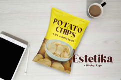 Estetika - Modern Serif Font Product Image 9