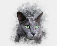 The Trendy Photo Effect Bundle Product Image 15